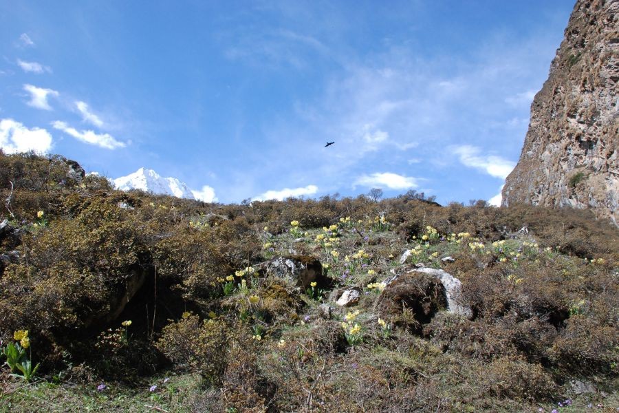 Manaslu Circuit Trek in Summer monsoon season.